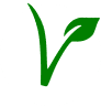Vegano