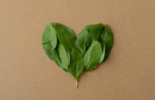 Vegano